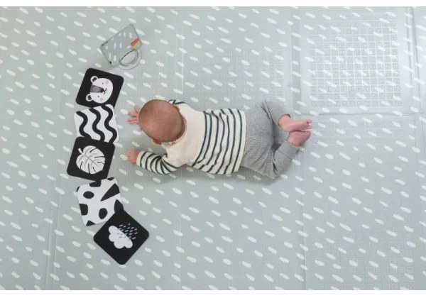 Cutie cadou HELLO BABY Taf Toys