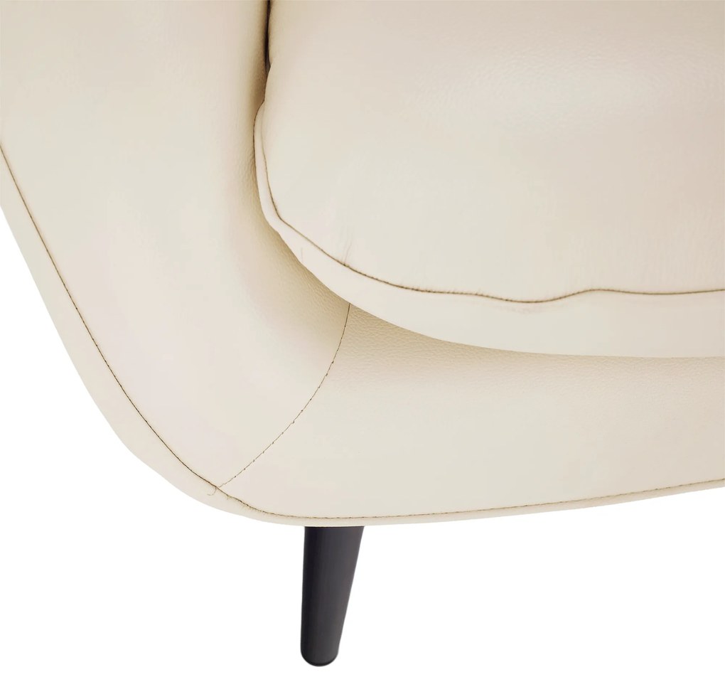 Fotoliu design, piele / piele ecologică, crem / negru, LINSY