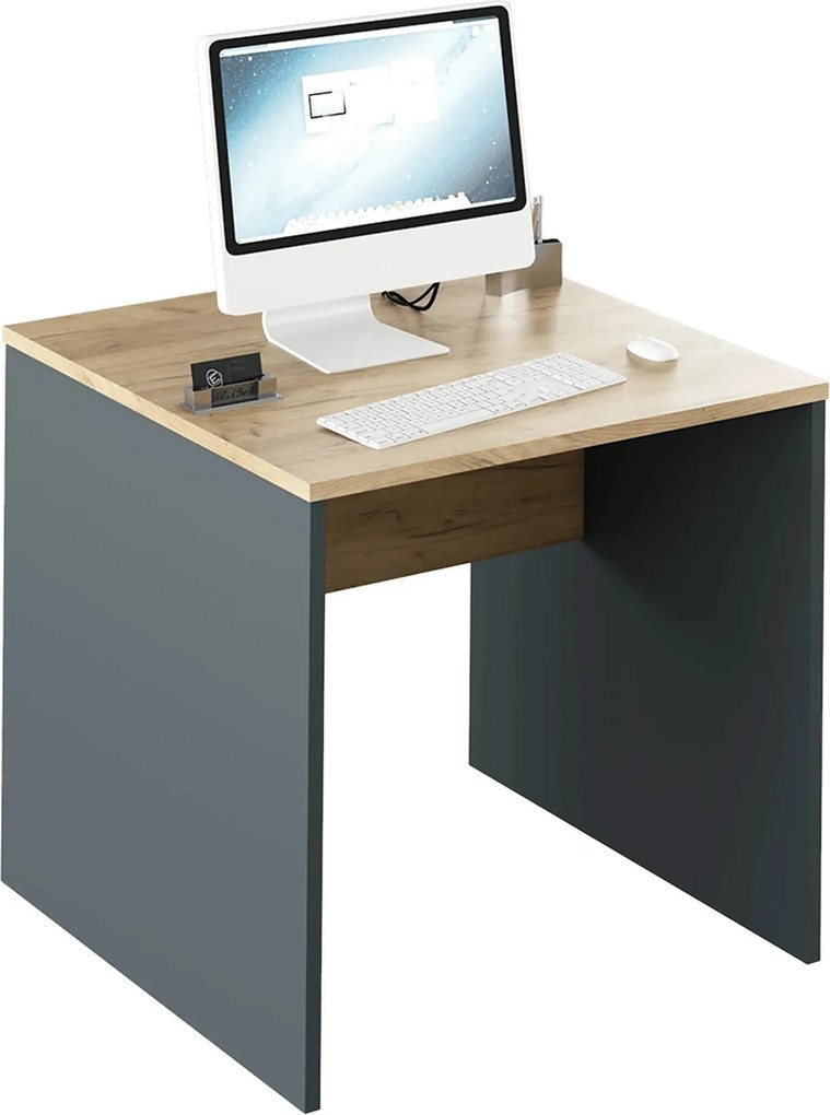 Masa birou RIOMA NEW TYP 17, gri grafit/stejar artisan, DTD laminat, 8