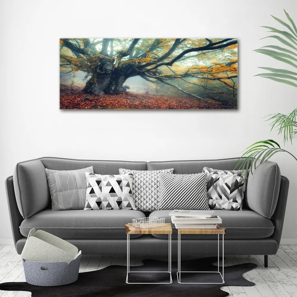 Tablou canvas Copac vechi
