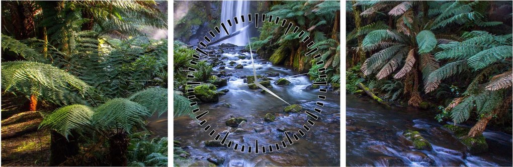 Tablou cu pădurea ploilor din Austalia (cu ceas) (90x30 cm)