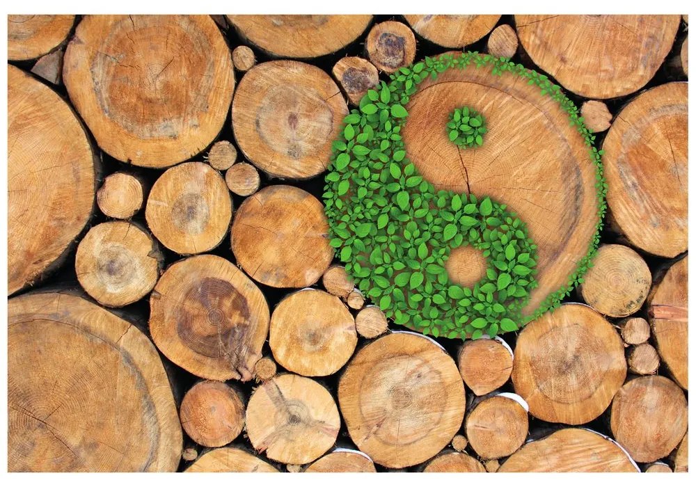 Fototapet autoadeziv Yin și Yang în design eco