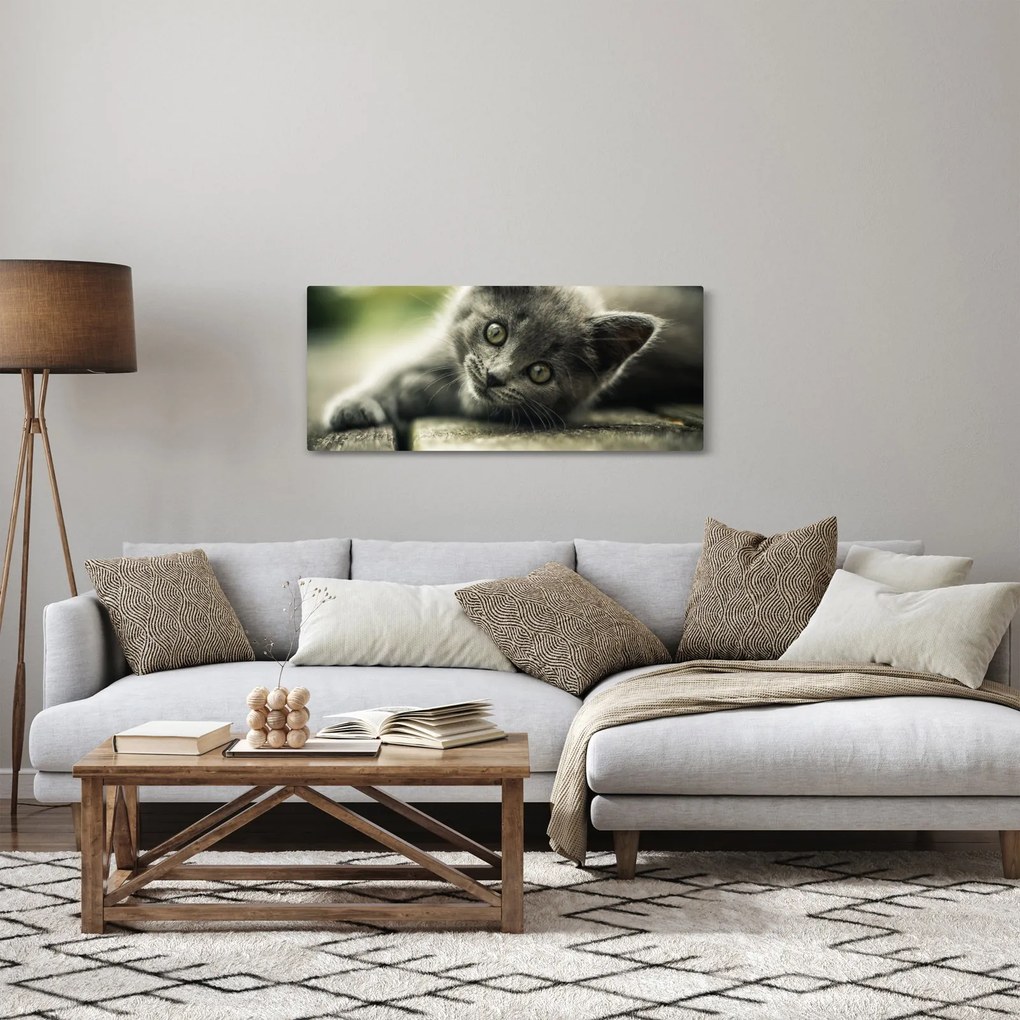 Tablou cu pisicuța (120x50 cm)