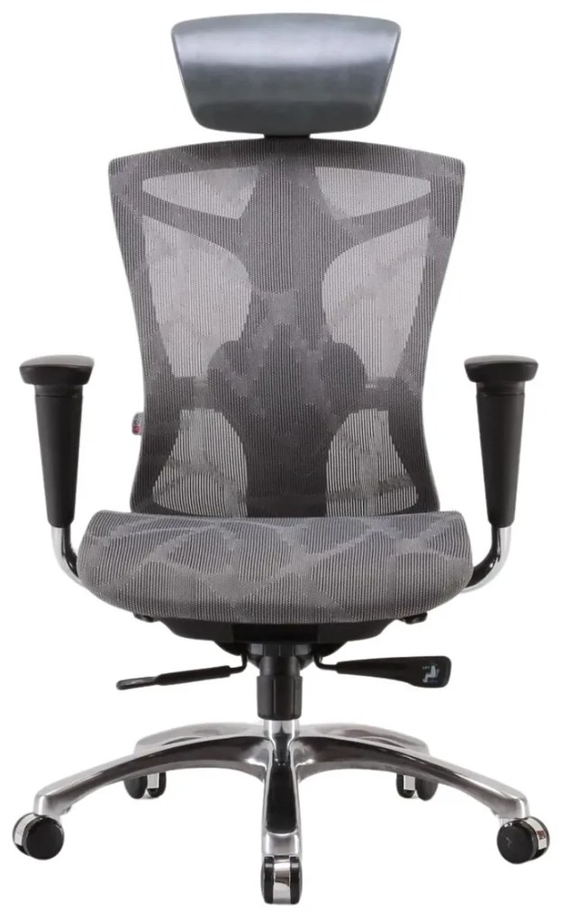 RESIGILAT- Scaun ergonomic SIHOO V1, suport lombar reglabil 4D, sezut cu translatie, mecanism multifunctional inclinare/blocare, cotiere 4D, pivotant, Mesh, Gri/Negru