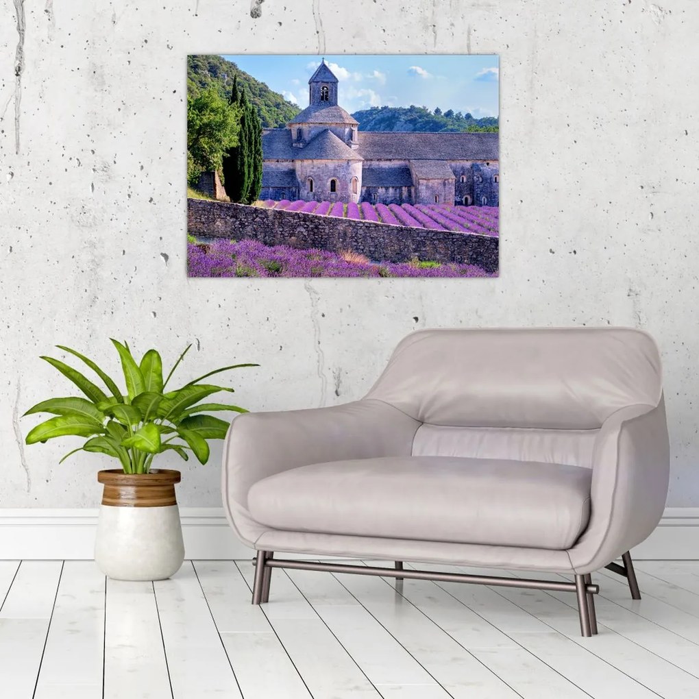 Tablou - Câmp de lavandă (70x50 cm)