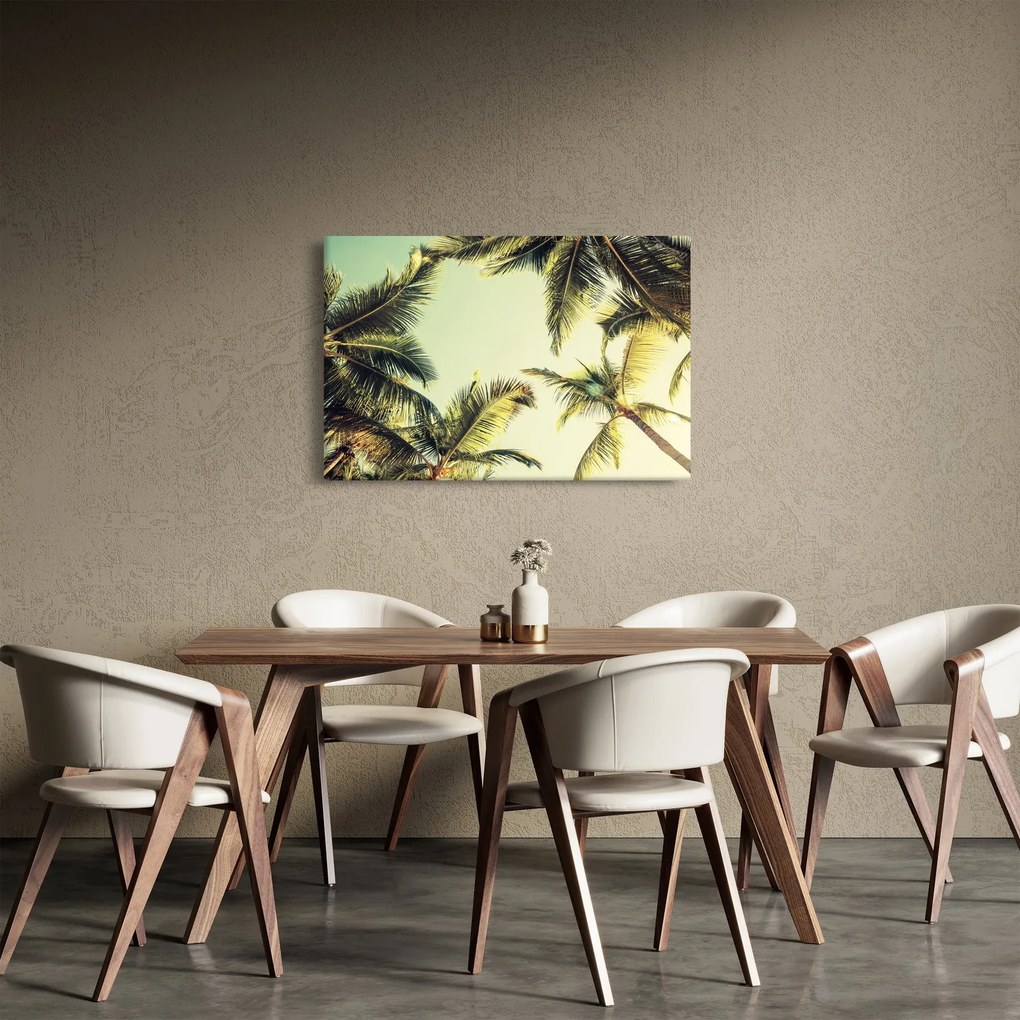 Tablou - Palmieri de cocos (90x60 cm)