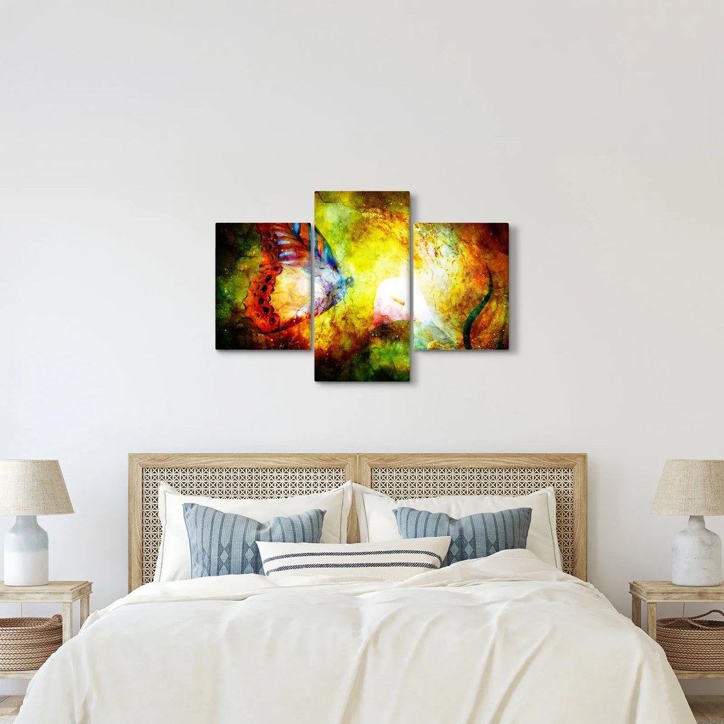 Tablou - Fluture spațial (90x60 cm)