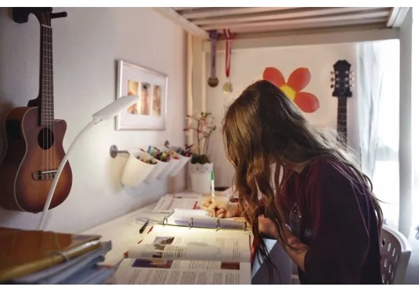 Osram - Lampă de birou LED tactilă reglabilă PANAN LED/5,2W/5V 1200 mAh