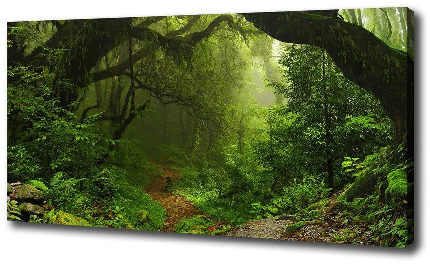 Tablou pe pânză Jungle în nepal