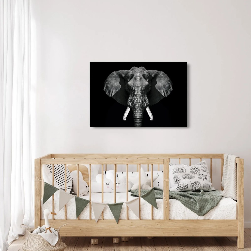 Tablou - Elefant pe fundal negru (90x60 cm)