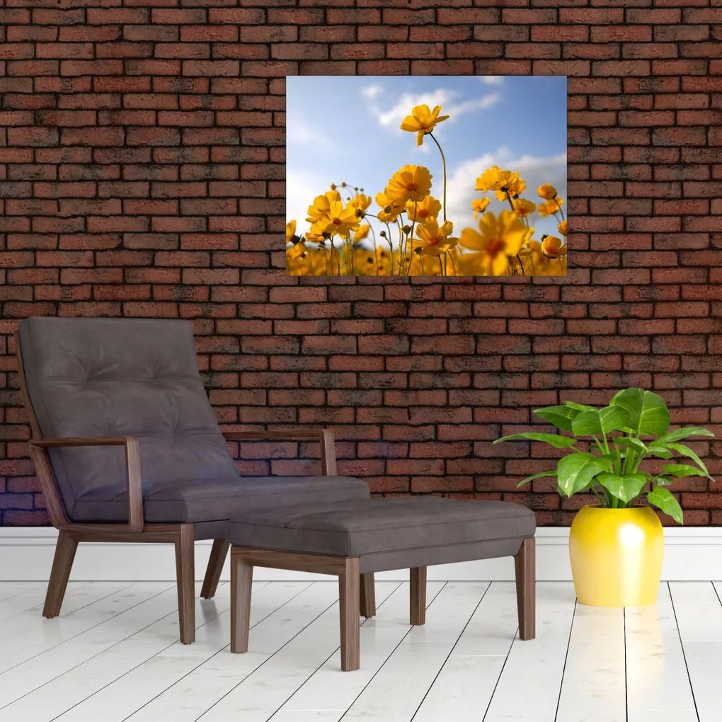 Tablou pe sticlă - Câmp cu flori galben deschis (70x50 cm)