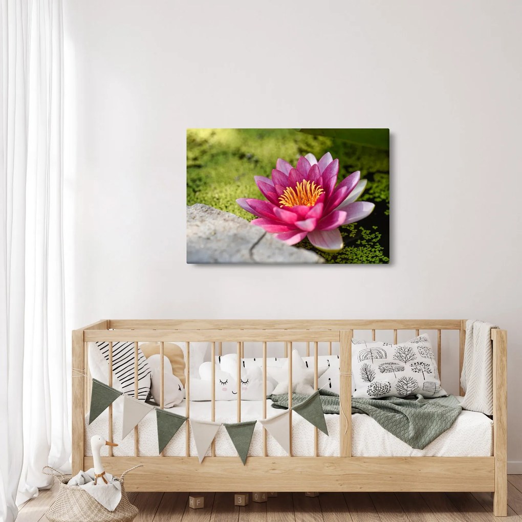 Tablou - Lotus (90x60 cm)