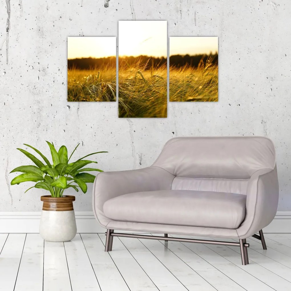 Tablou iarba cu rouă (90x60 cm)