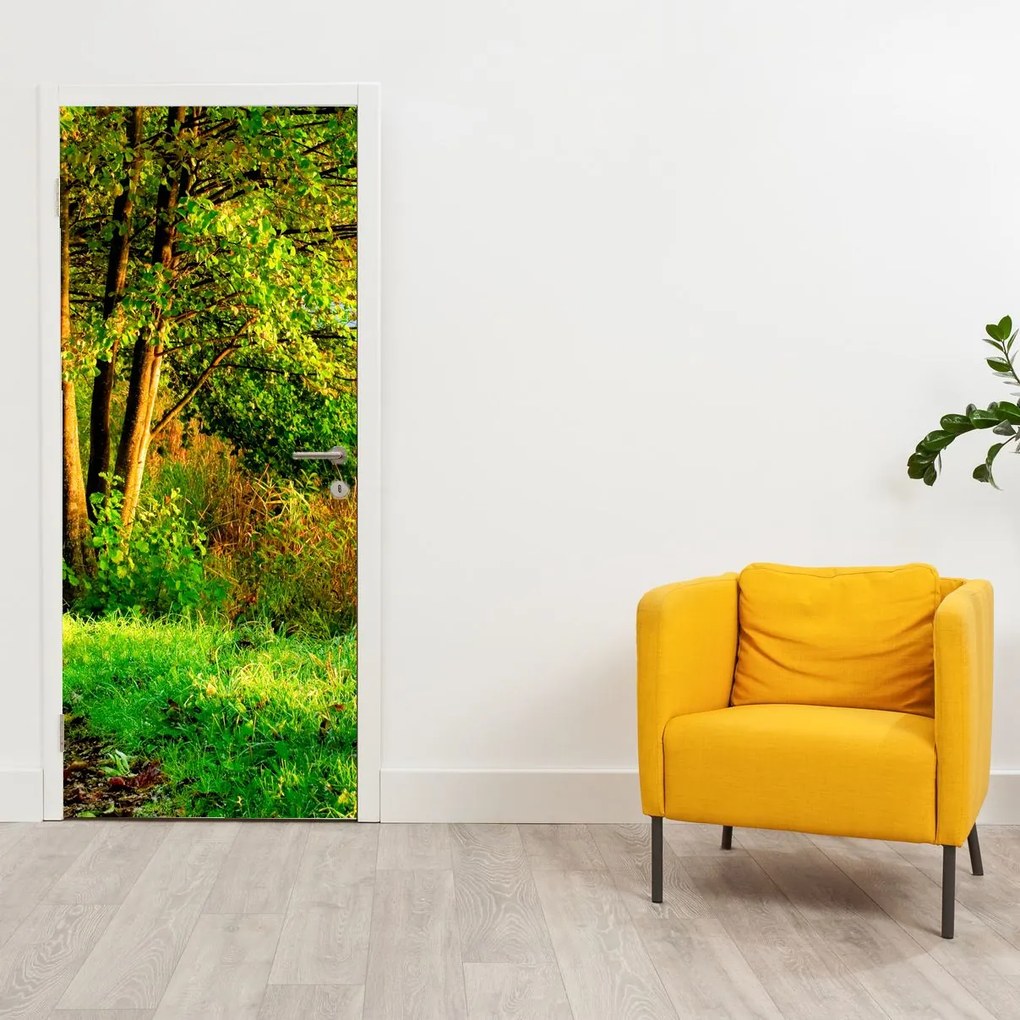 Fototapet pentru ușă - Cărarea de-a lungul apei (95x205cm)