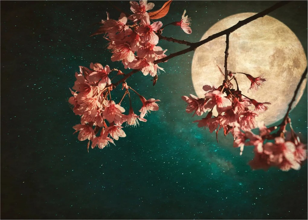 Tablou - Sakura în luna plină (70x50 cm)