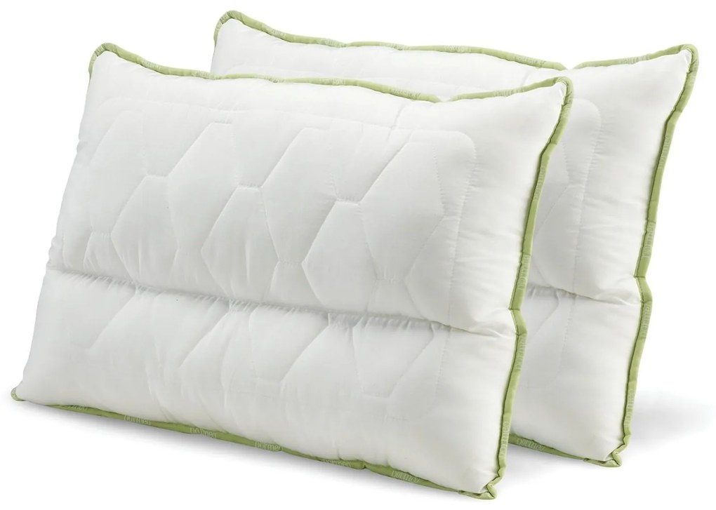 Set 2 Perne Dormeo Anatomice Aloe Vera 50x70 cm