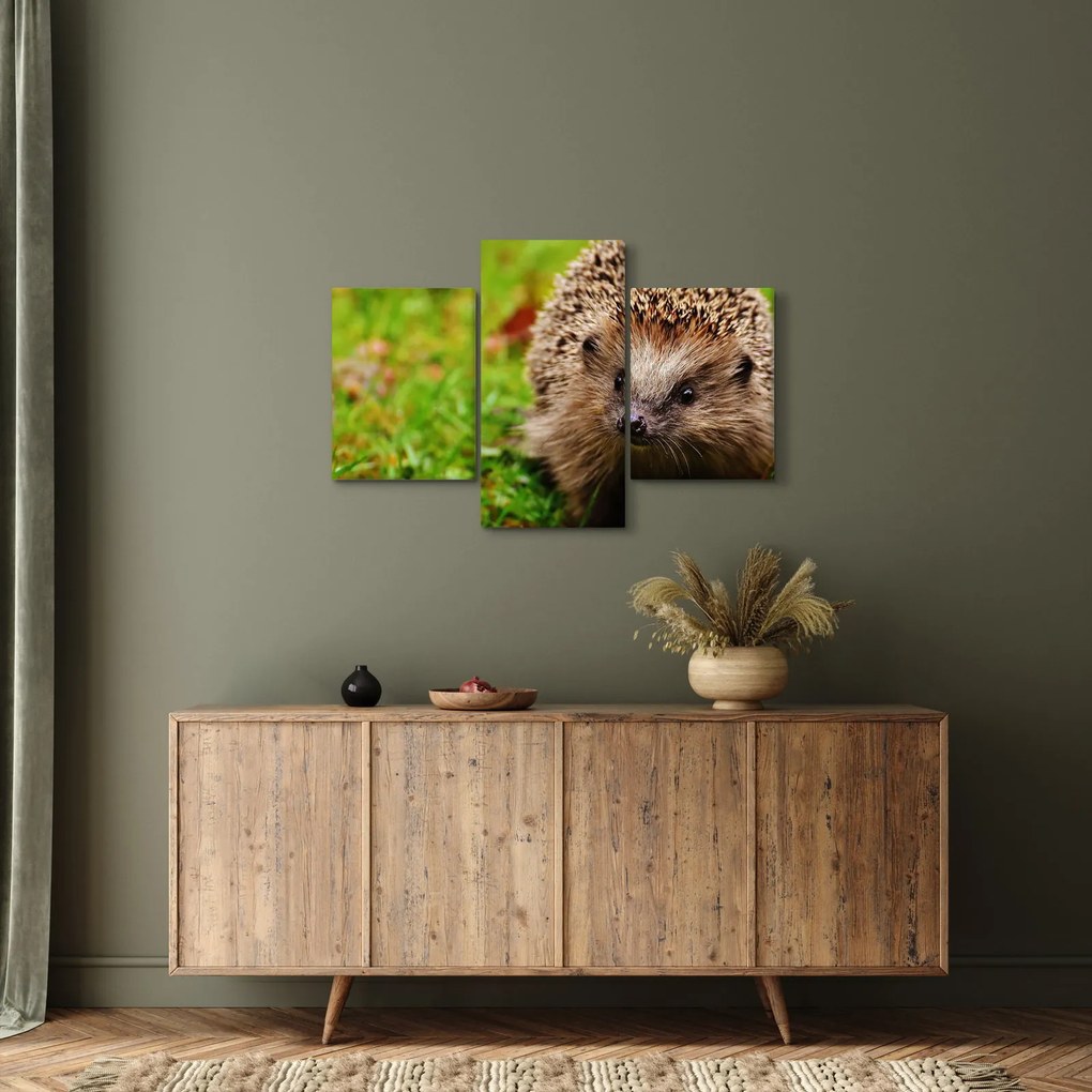 Tablou cu arici (90x60 cm)