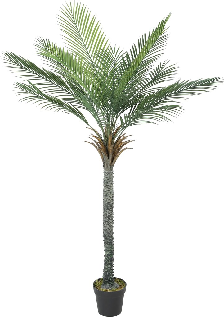 HOMCOM Plantă Artificială Decorativă 180 cm Palmier Artificial cu Ghiveci și Frunze pentru Interior Verde | Aosom Romania