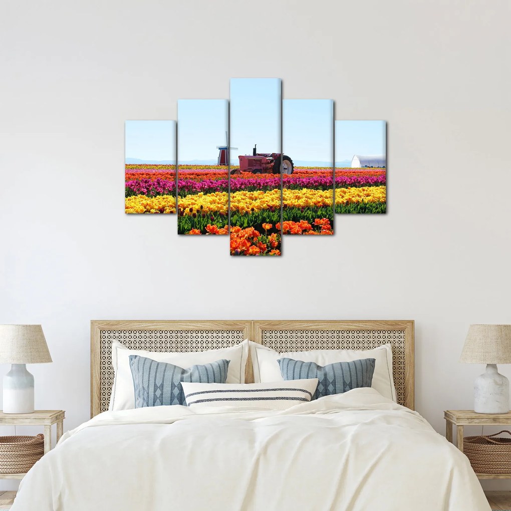 Tablou cu farma de lalele (150x105 cm)