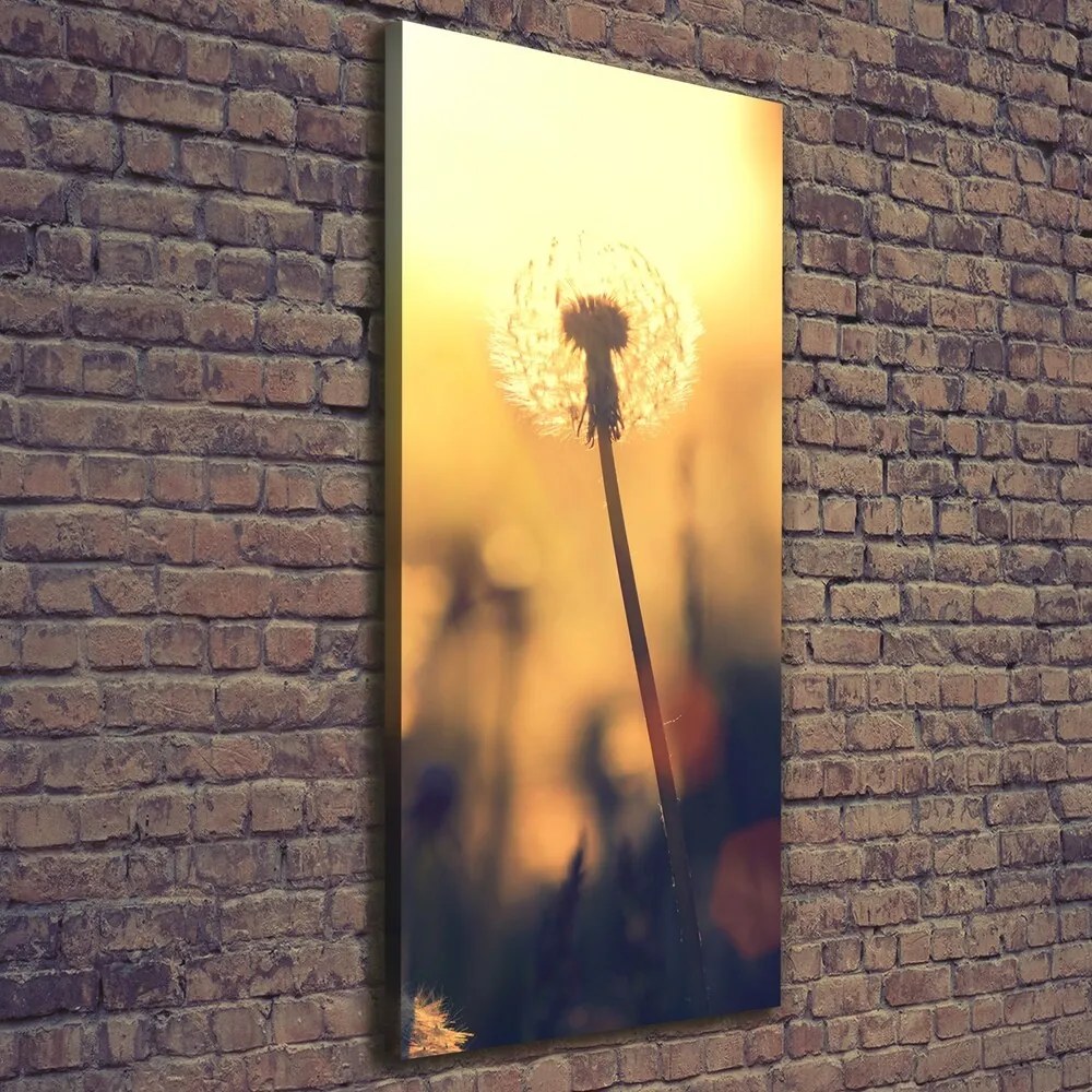Tablou pe pânză canvas Păpădie