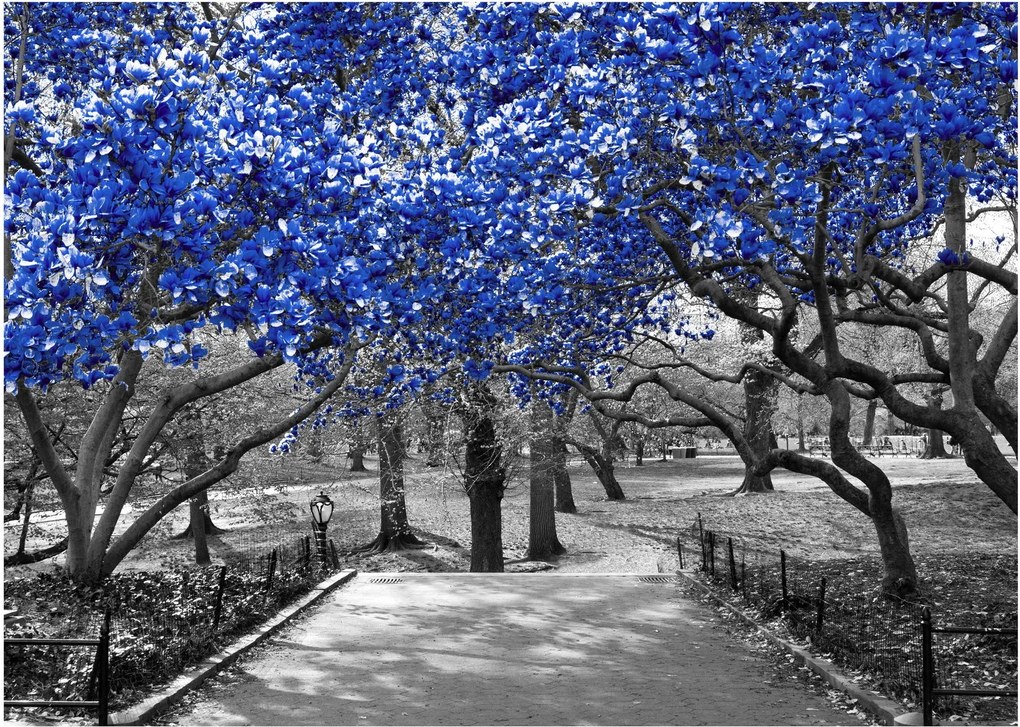 Tablou - Copaci albaștri Central Park, New York (70x50 cm)