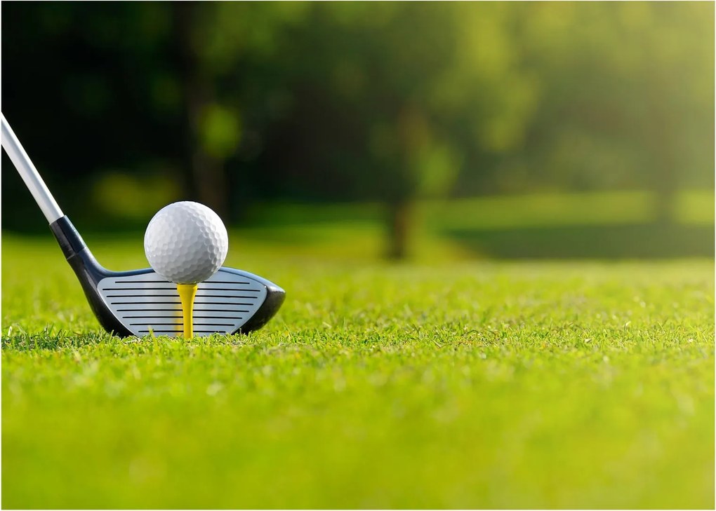 Tablou - Golf (70x50 cm)