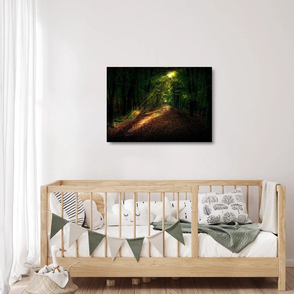 Tablou pe sticlă cu poteca prin pădure (70x50 cm)