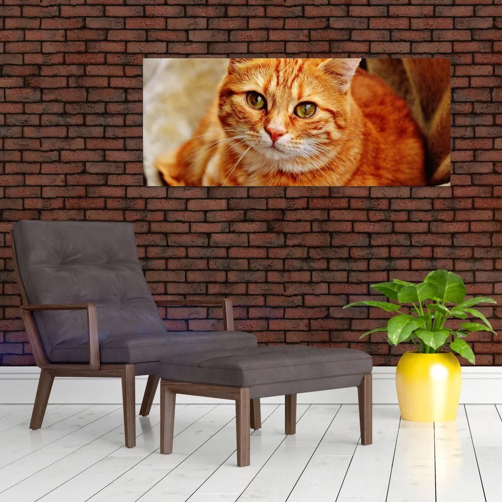Tablou - Pisica tolenită (120x50 cm)