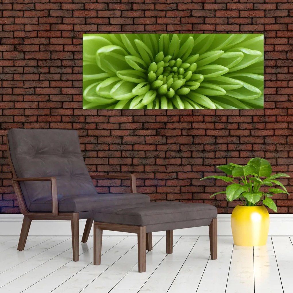 Tablou - Imagine macro a unei plante (120x50 cm)