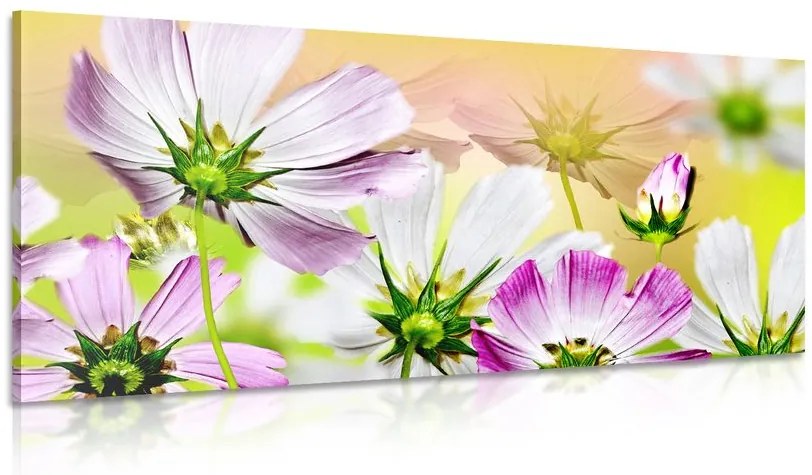 Tablou flori de grădină