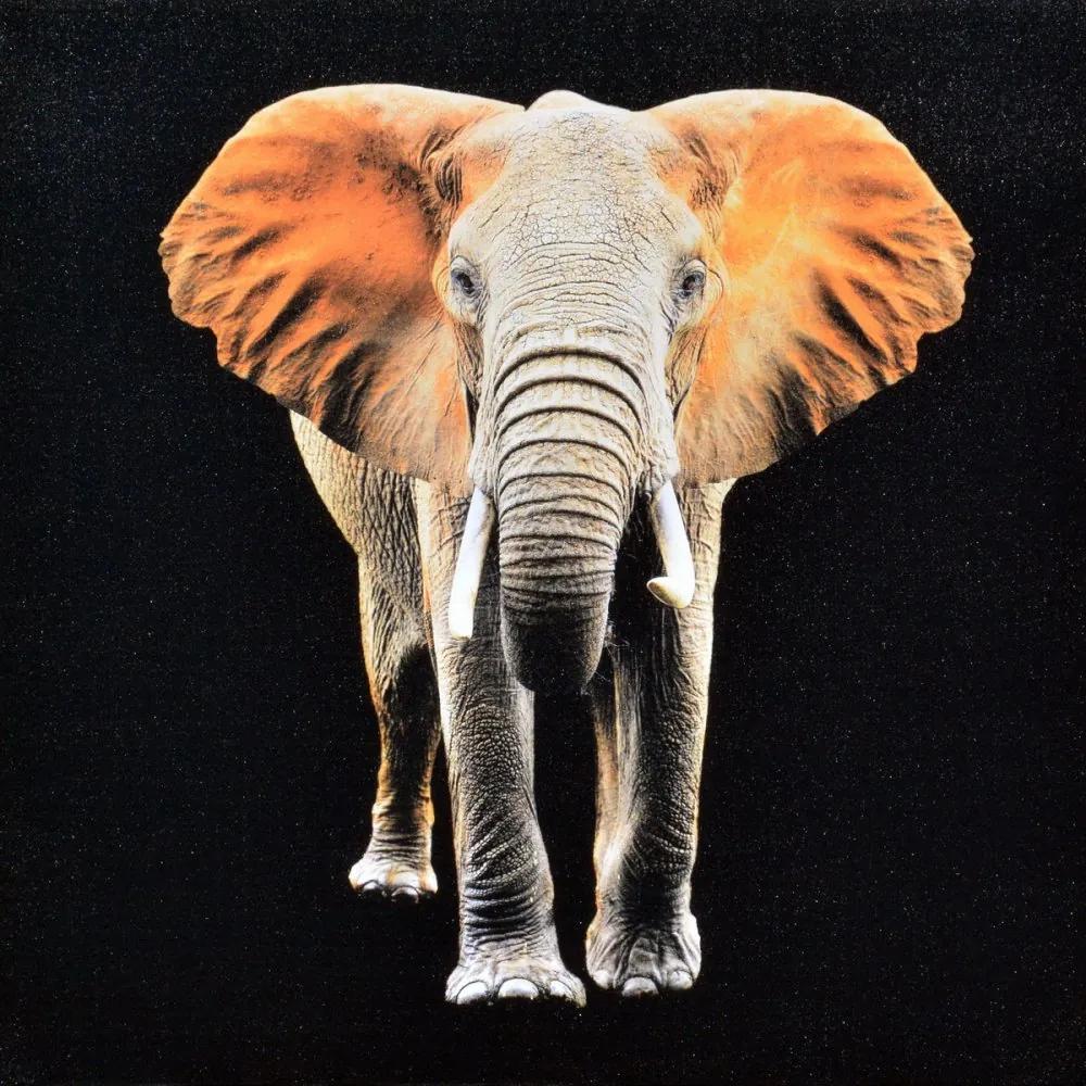 Falc Tablou pe pânză - Orange elephant, 70x70 cm