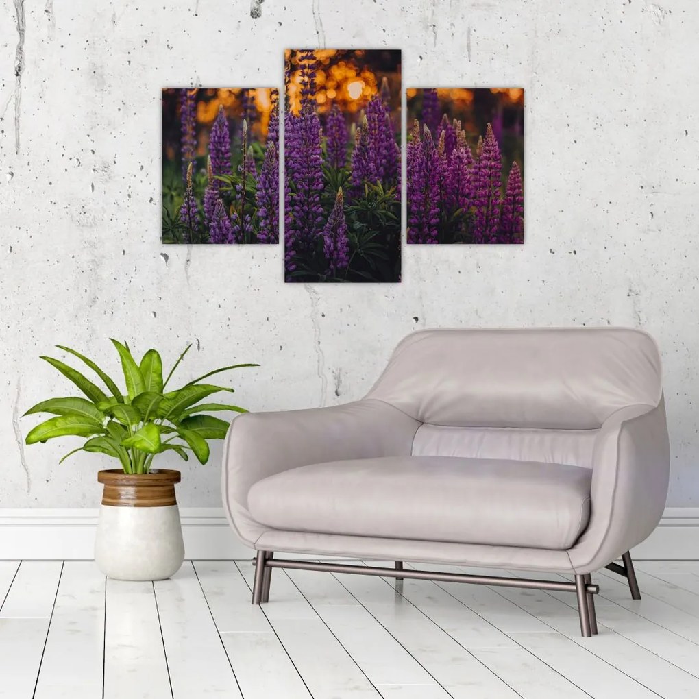 Tablou - Flori de lupin (90x60 cm)