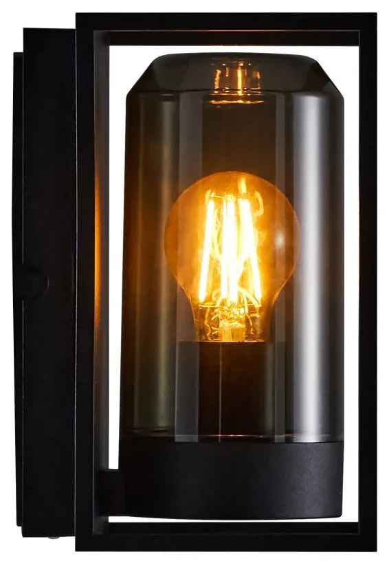 Aplica de perete exterior IP44 design modern Griffin Smoked