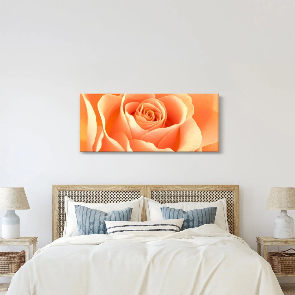 Tablou - Imaginea- Trandafiri, culoarea caisei (120x50 cm)