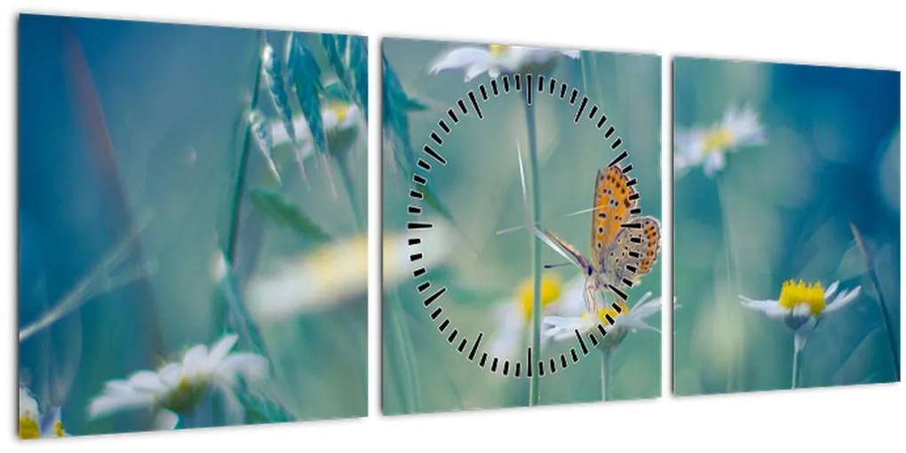 Tablou - Fluture pe margaretă (cu ceas) (90x30 cm)