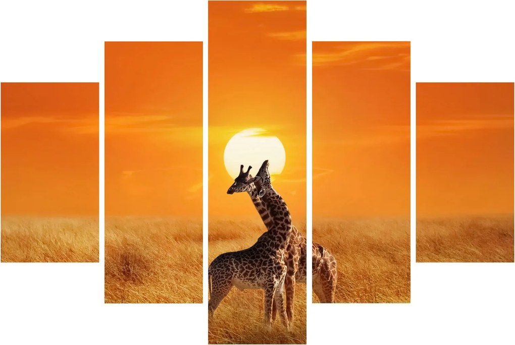 Tablou - Girafe în Parcul Național Serengeti (150x105 cm)