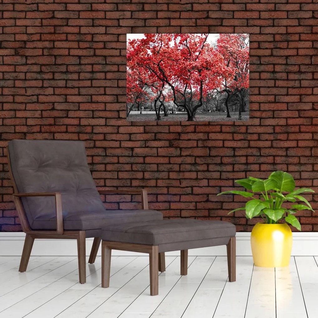 Tablou - Copacii roșii, Central Park, New York (70x50 cm)