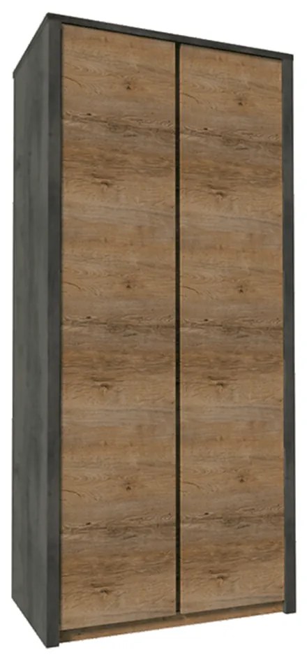 Dulap cu doua usi, stejar lefkas inchis/gri, MONTANA S2D