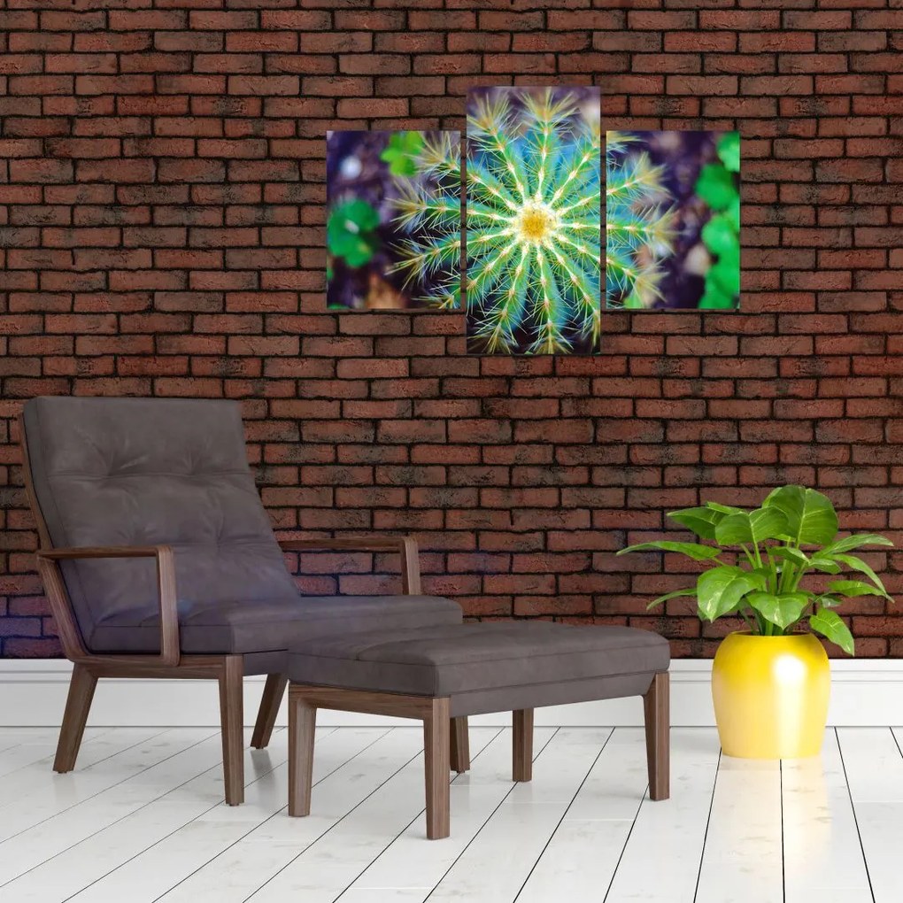 Tablou cu cactus (90x60 cm)