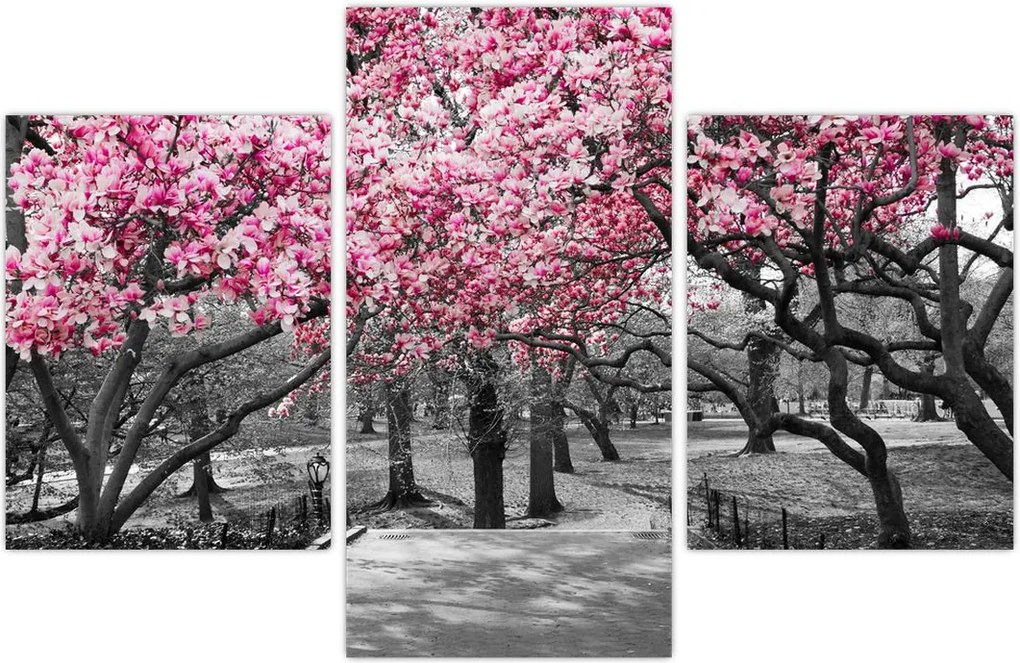 Tablou copacului magnolie (90x60 cm)