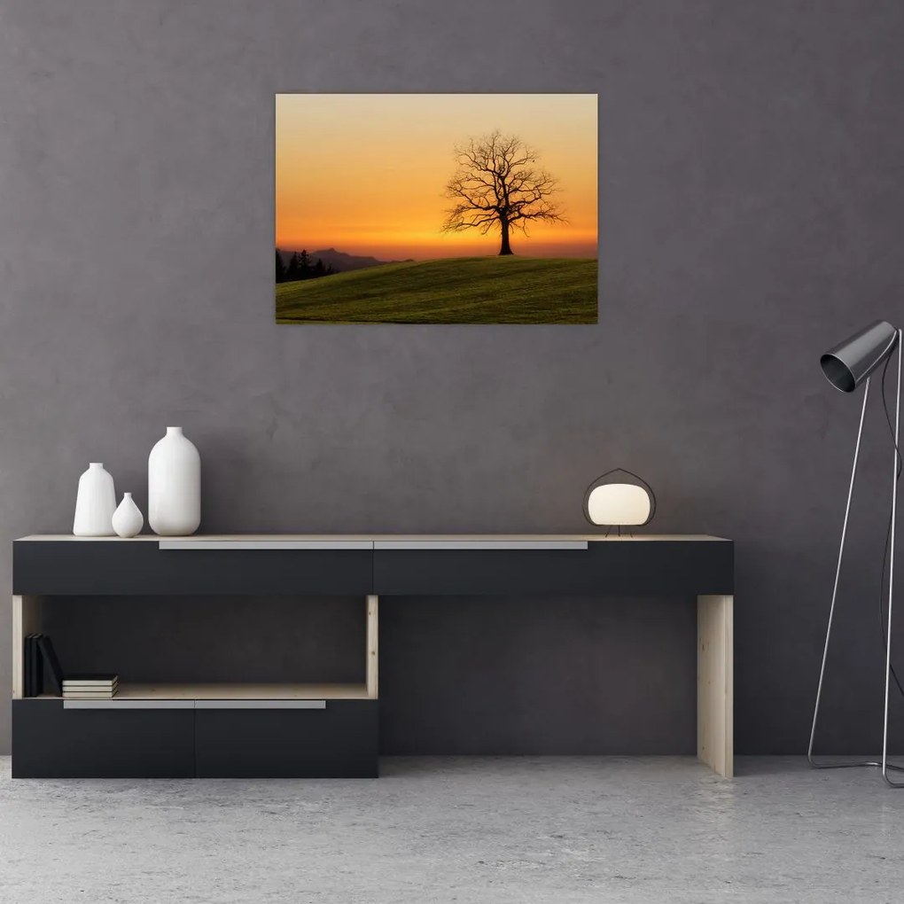 Tablou cu apus de soare pe o luncă (70x50 cm)