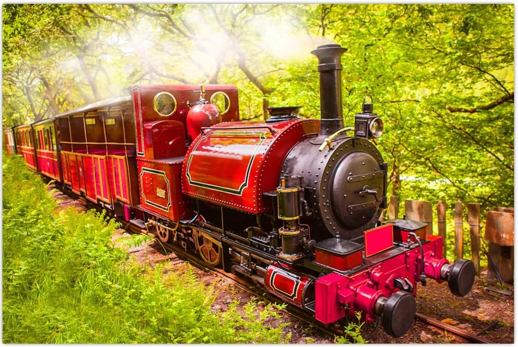 Tablou - Tren cu aburi (90x60 cm)