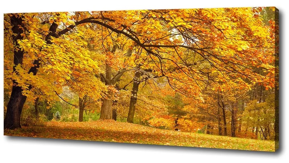 Pictură pe pânză Toamna în parc