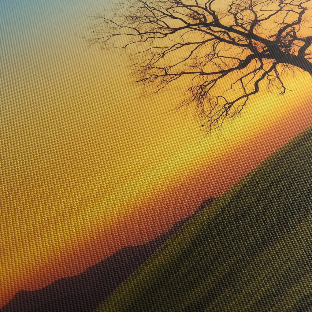 Tablou - Copacul în câmp (90x60 cm)