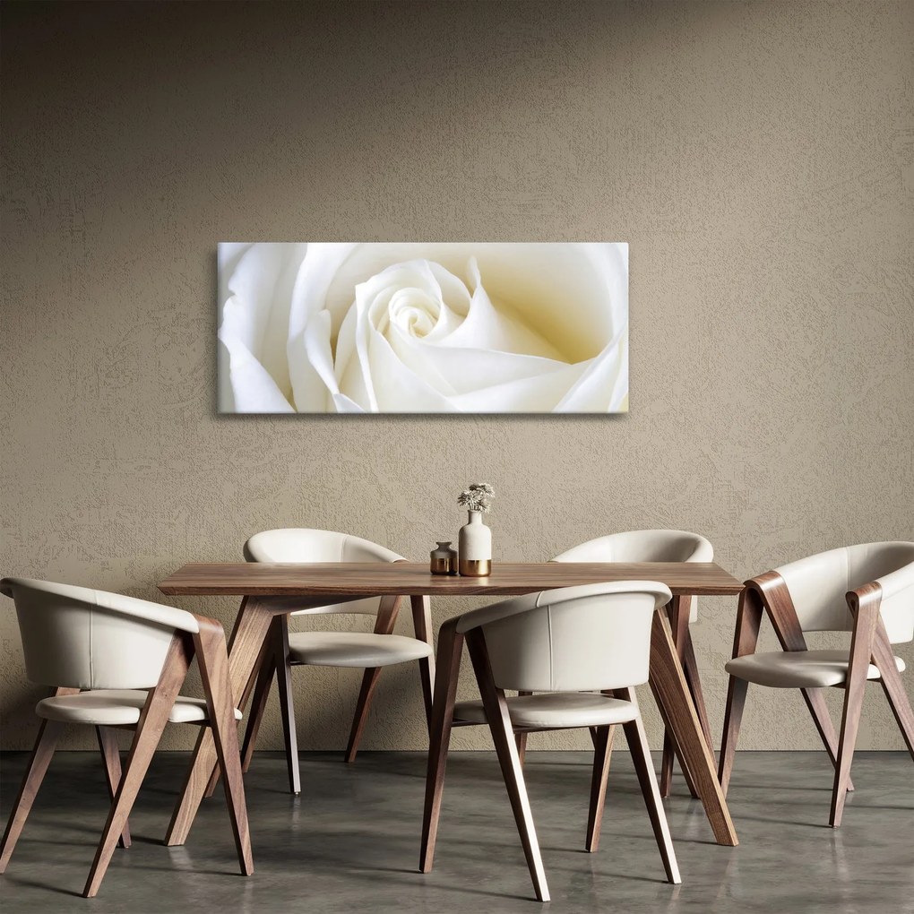 Tablou cu tandafir alb (120x50 cm)