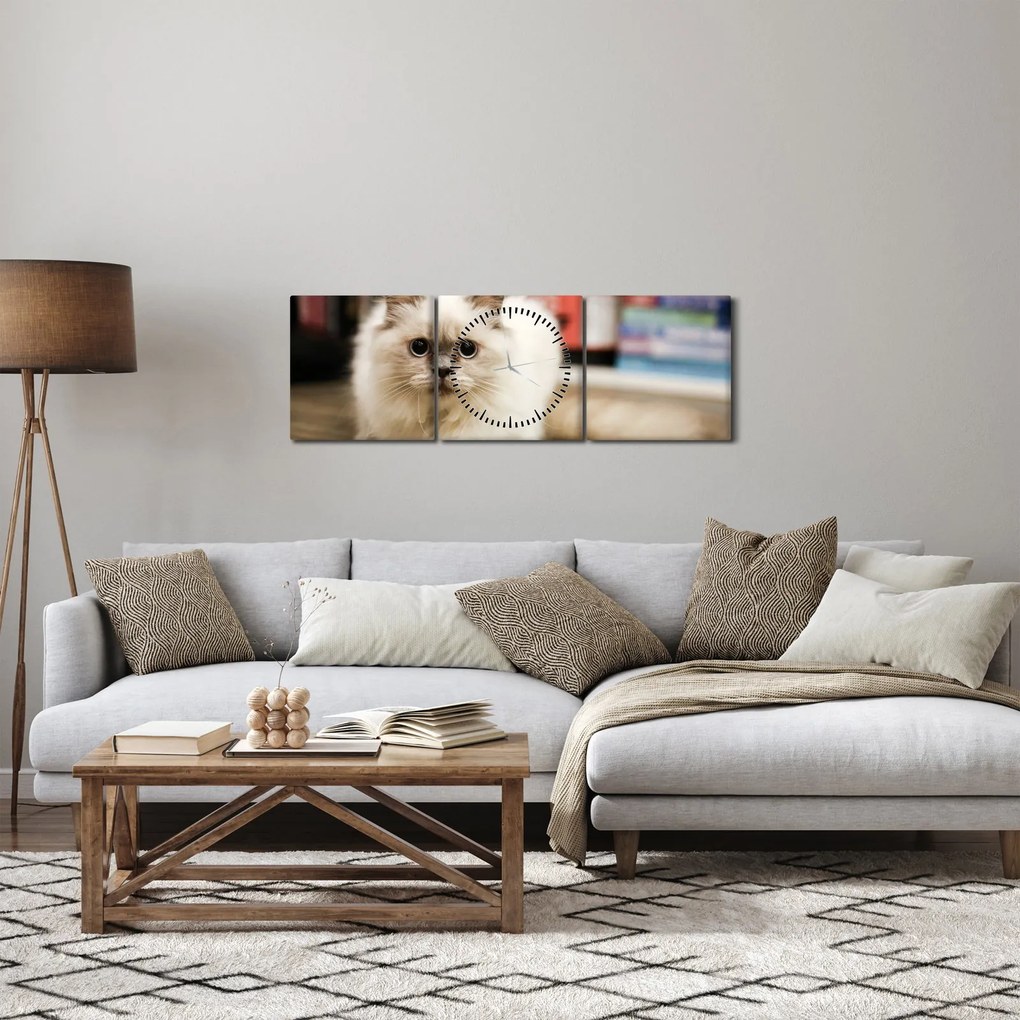Tablou cu pisica albăr (cu ceas) (90x30 cm)