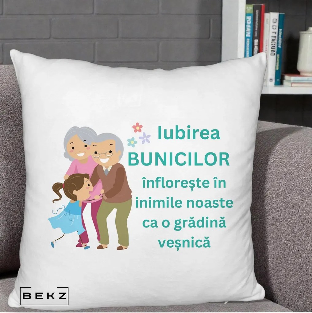 Cadou pentru Bunici - Perna Personalizata Bunicii Iubirea Infloreste cu Nepoata Teal, 40x40 cm, Alb Pufos, Husa Detasabila, Perna Inclusa, BEKZ®