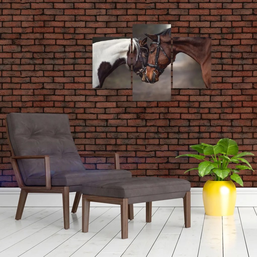 Tablou - Cai îndrăgostiți (90x60 cm)