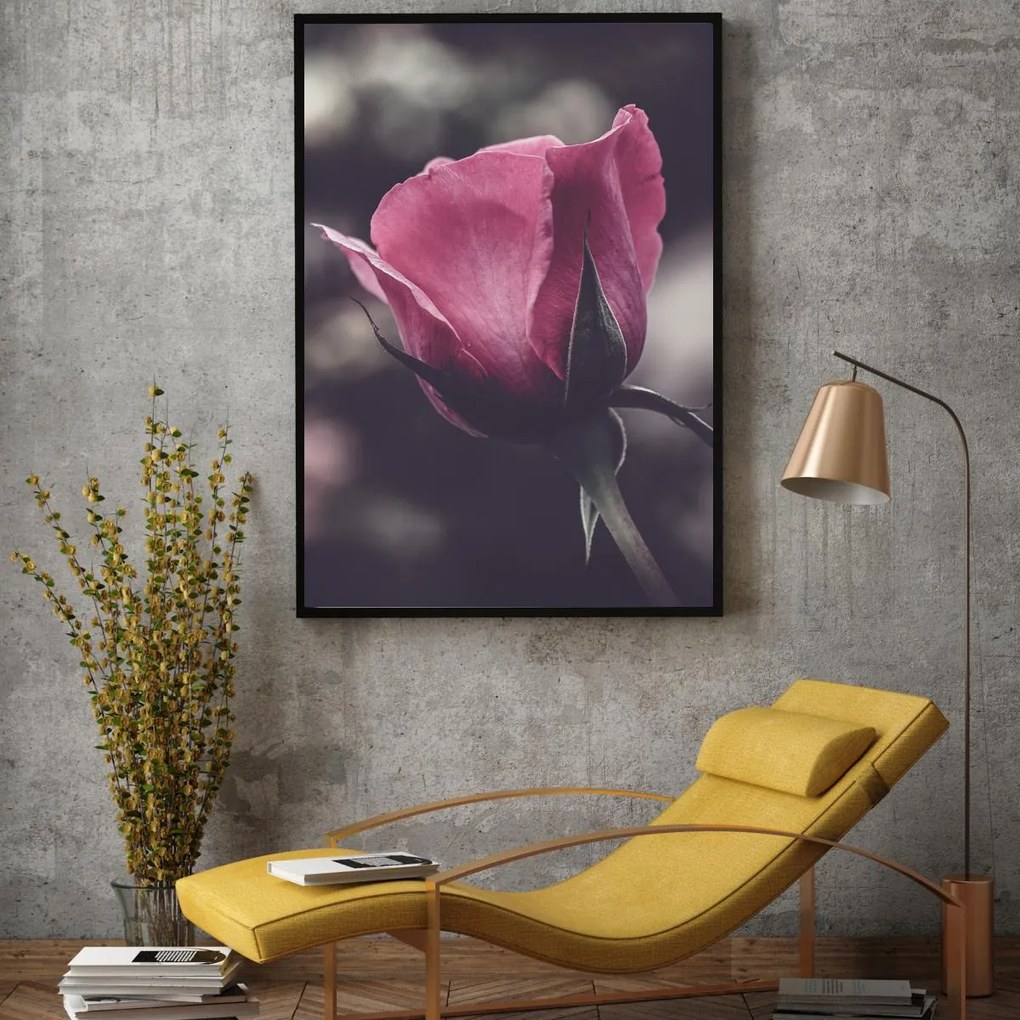 Poster - Floarea de trandafir (A4)