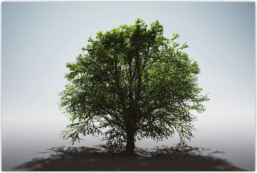 Tablou - Copacul singuratic (90x60 cm)